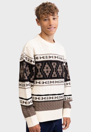 TEFINN BOXY FIT - Pullover - pristine