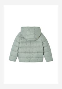 Hellgrüne Pufferjacke mit Kapuze. Glatte Textur, gestepptes Muster und lange Ärmel. Die Rückansicht zeigt ein bodenlanges Design.