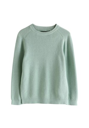 Next, CREW NECK KNITTED JUMPER.  - REGULAR FIT - Striktrøje - mineral green