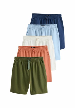 LIGHTWEIGHT 5 PACK - REGULAR FIT - Badeshorts - green blue rust
