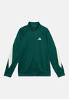 STADIUM JACKET UNISEX - Μπουφάν προπόνησης - collegiate green/ivory