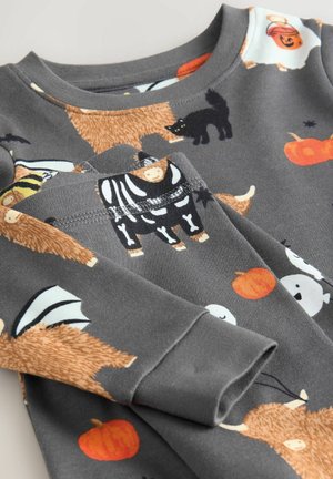 Next REGULAR FIT HALLOWEEN SNUGGLE SET - Pyjama set - trick or treat hamish print