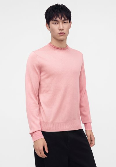 Jeune homme aux cheveux courts noirs portant un pull rose clair à manches longues et un pantalon noir sur fond blanc.