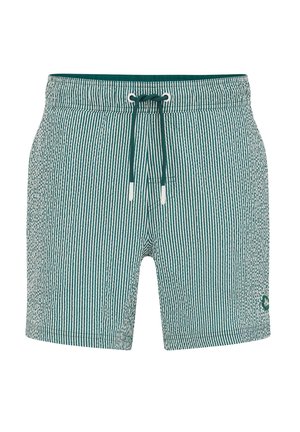 Pantaloni scurți de înot cu dungi verticale verzi și albe, cu buzunare laterale și talie cu șnur verde.