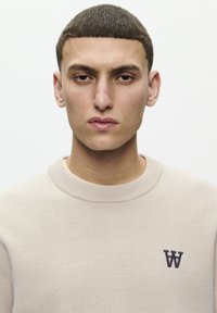 DOUBLE A BY W.W. CURT CREW NECK - Jumper - moonstruck