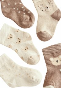 Next 5 PACK - Calze - neutral bear