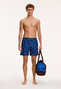 Shiwi REGULAR FIT PELICAN - Peldēšanas šorti - royal blue