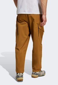 Adidas Terrex Bukser - bronze strata