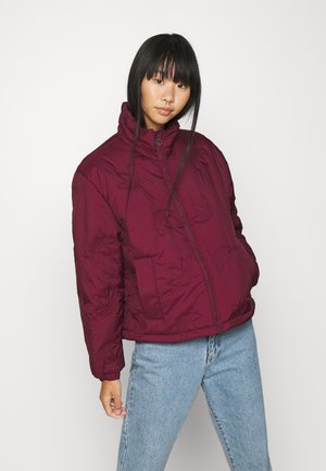TREFOIL PUFFER WINTER MIDWEIGHT - Winterjacke - maroon