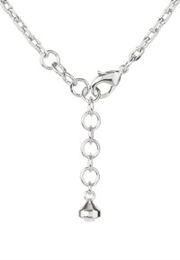 Collier chaîne en argent avec fermoir mousqueton, plusieurs maillons ronds, et un petit pendentif métallique pointu suspendu à l'extrémité.