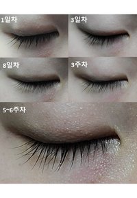 Immagine in miniatura 8