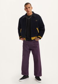 Levi's® Skateboarding SKATE CROP CARPENTER - Traperice opuštenog kroja - night shade x