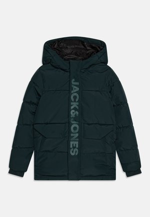 Jack & Jones Junior, JCOSPEED PUFFER - Giacca invernale - magical forest