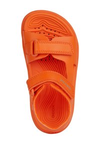 Geox FUSBETTO UNISEX - Sandals - orange