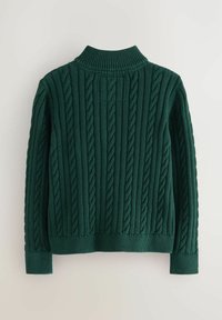 Suéter verde de punto con textura acanalada, que presenta un cuello alto, mangas largas y un patrón de trenzado por todo el diseño.