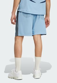 adidas Originals TEAMGEIST - Træningsbukser - ash blue   black