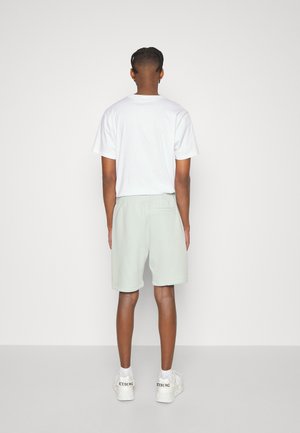 DEDFORD - Šortky - light/pastel green