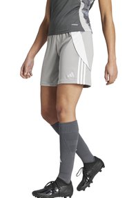 adidas Performance TIRO24 SHORTS WOMEN - Short de sport - grauweiss