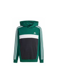 Sudadera verde con rayas horizontales blancas y negras, de mangas largas, con bolsillo canguro y tres rayas blancas en los laterales. Hecha de tela suave.