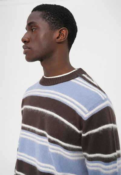 Pull rayé dans des tons de bleu, marron et blanc, fabriqué en laine douce, avec un col rond côtelé et une coupe décontractée.