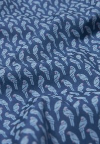 Next Ing - blue parrot