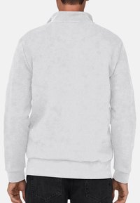 Lichtgrijze sweatshirt met een zachte textuur, ribbelmanchetten en -zoom, en een kraag. Geen zichtbare ontwerpelementen of logo's. Achteraanzicht weergegeven.