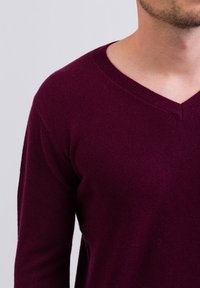 CASH-MERE V-AUSSCHNITT - Trui - cranberry rot