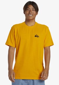 Quiksilver PETROGLYPH - Jednoduché tričko - njz