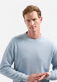 Lichtblauwe geribde trui met een ronde halslijn en lange mouwen. Textuur stof met aansluitende manchetten en een gelijkmatig patroon overal.