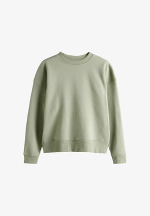 Ljusgrön sweatshirt med rund halsringning, sänkta axlar och ribbade muddar. Mjuk textur och avslappnad design med vid passform.