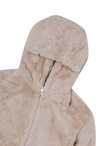 Terranova CON CAPPUCCIO - Giacca invernale - beige chiaro