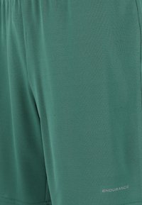 Gröna atletiska shorts av slät, lättviktig tyg med elastisk midja. Har en subtil lyster och "ENDURANCE"-logotyp i silver.