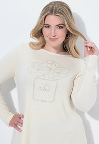 Cremiges Langarmoberteil mit einem Blumentopfdesign und Strasssteinen. Runder Ausschnitt, weiche Textur und oversized Passform. Das Wort "chic" ist sichtbar.