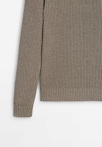Massimo Dutti MOCK NECK - Jumper - brown