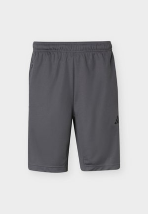 adidas Performance, WORKOUT ESSENTIALS BASE 3 STRIPES 9 INCH SHORT - Αθλητικό σορτς - grey five/black