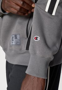 Grå hoodie i bomullsblandning med smala vita och svarta ränder på ärmarna, med en logotyputskrift och en broderad logotyp på muddarna.