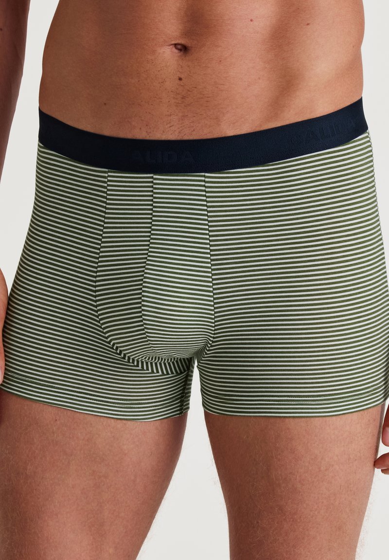 Calida NEW 3ER-PACK - Trunks - clover green