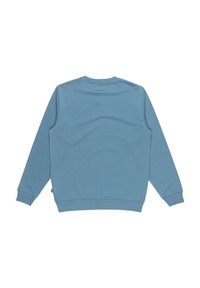 Felpa azzurro chiaro con maniche lunghe, colletto rotondo e polsini a costine. Tessuto liscio con dettagli minimi. Vista posteriore mostrata.