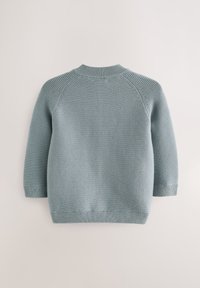 Lyseblå strikket sweater med lange ærmer, ribstrikket rund halsudskæring, ærmekanter og kant, vist bagfra på en ensfarvet baggrund.