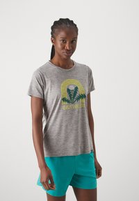 Patagonia DAILY GRAPHIC LANDS - Sport T-Shirt - feather grey