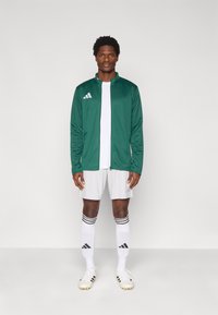 Πράσινο αθλητικό μπουφάν με φερμουάρ και λευκές λεπτομέρειες, συνδυασμένο με λευκό T-shirt, γκρι σορτς και ριγέ κάλτσες. Ποδοσφαιρικά παπούτσια με μαύρες λεπτομέρειες.