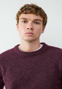 Burgunderfarbener Strickpullover mit Rundhalsausschnitt und gerippten Bündchen, getragen über einem weißen Hemd, mit weicher Textur und schickem Design.