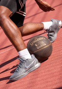 Nike Performance LEBRON XXI - Basketsko - cool grey/metallic silver