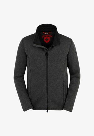 Wellensteyn ÜBERGANGS - Sweatjacke - grau