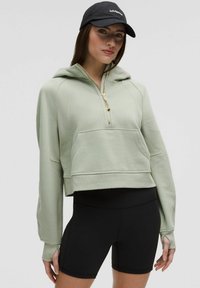 SCUBA OVERSIZED HALF-ZIP - Sweatjakke - Fog Green/Gold