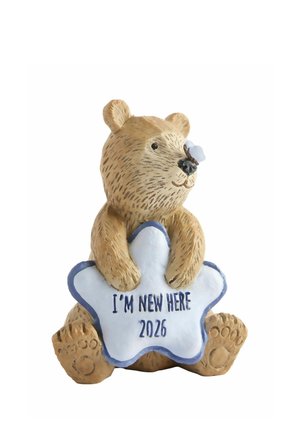 Bjørnefigur, der holder et stjernformet skilt med teksten "I'M NEW HERE 2026" med en lille sommerfugl på næsen på en hvid baggrund.