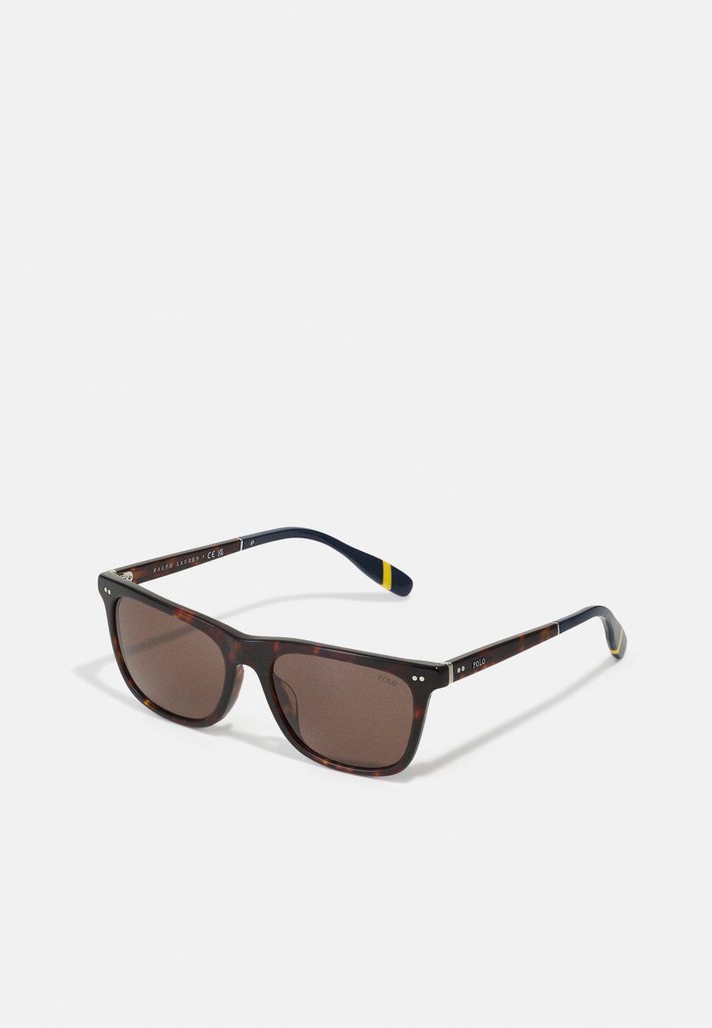 Polo Ralph Lauren - Sonnenbrille - shiny dark havana, Vergrößern