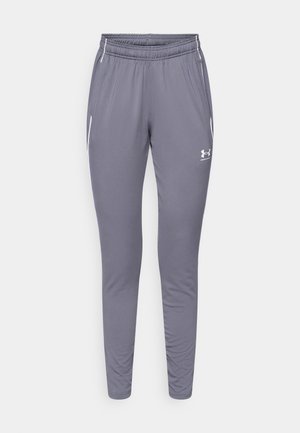 Pantalons de sport gris avec une coupe slim, fabriqués en tissu lisse. Dotés d'une taille élastique et de deux poches latérales avec des accents blancs.