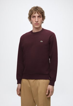 Giovane uomo con capelli biondi ricci che indossa una felpa bordeaux scuro con un piccolo logo verde di coccodrillo e pantaloni beige, in piedi dritto.