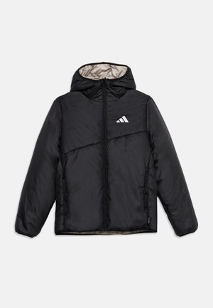 adidas Terrex, REVERSIBLE INSULATED JACKET UNISEX - Winter jacket - black